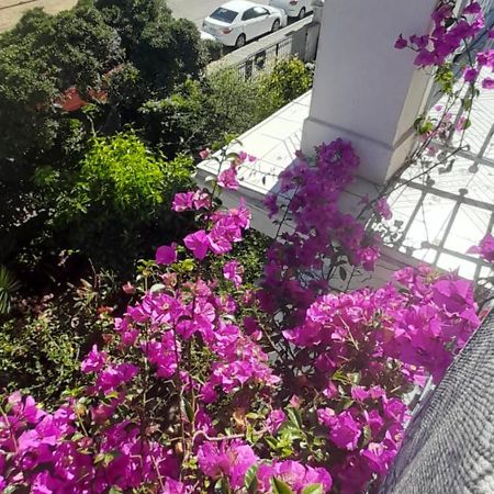 Blanca Rosa Valparaiso B&B 외부 사진